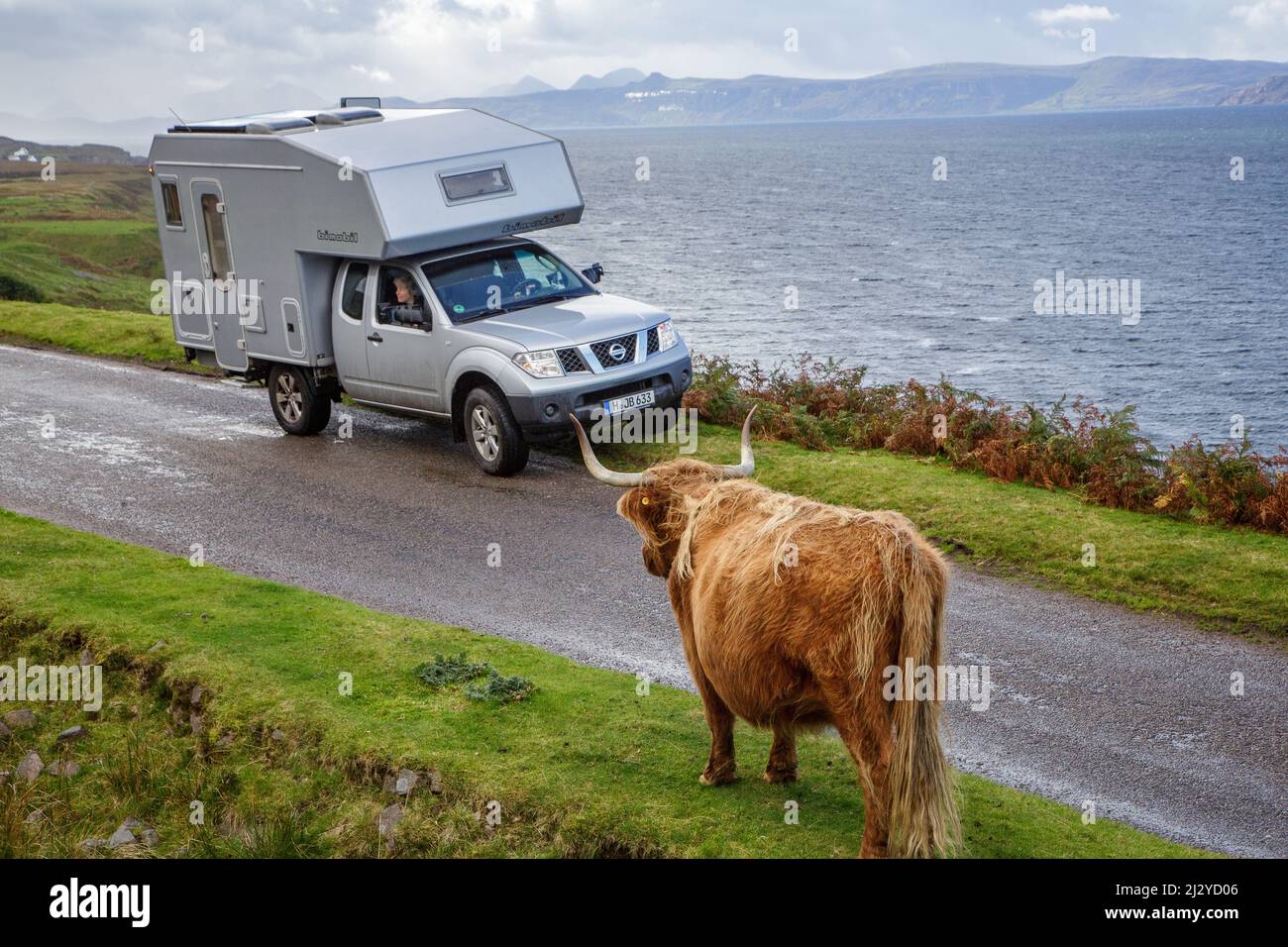 Camper, motorhome, bimobile, encounter with highland cattle, Applecross Peninsula, Sutherland, Scotland UK Stock Photo