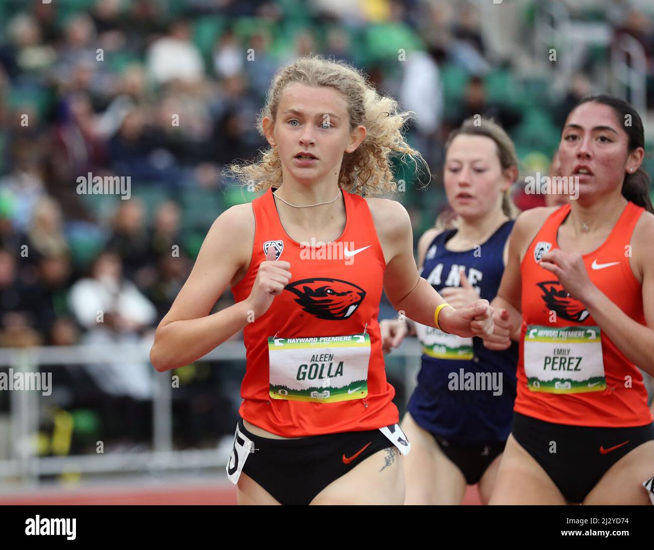 April 1, 2022: Aleen Golla of Oregon State University competes in the Women's 1500 Meter Run at the 2022 Hayward Premiere at Hayward Field, Eugene, OR Larry C. Lawson/Cal Sport Media Stock Photo