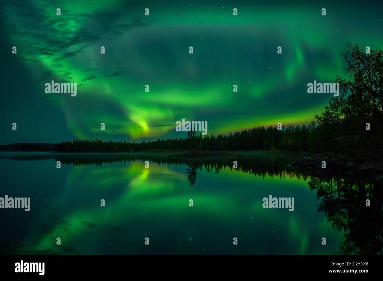 Northern lights in the night sky on the lakeshore with trees and reflection in the water in Lapland, Sweden Stock Photo