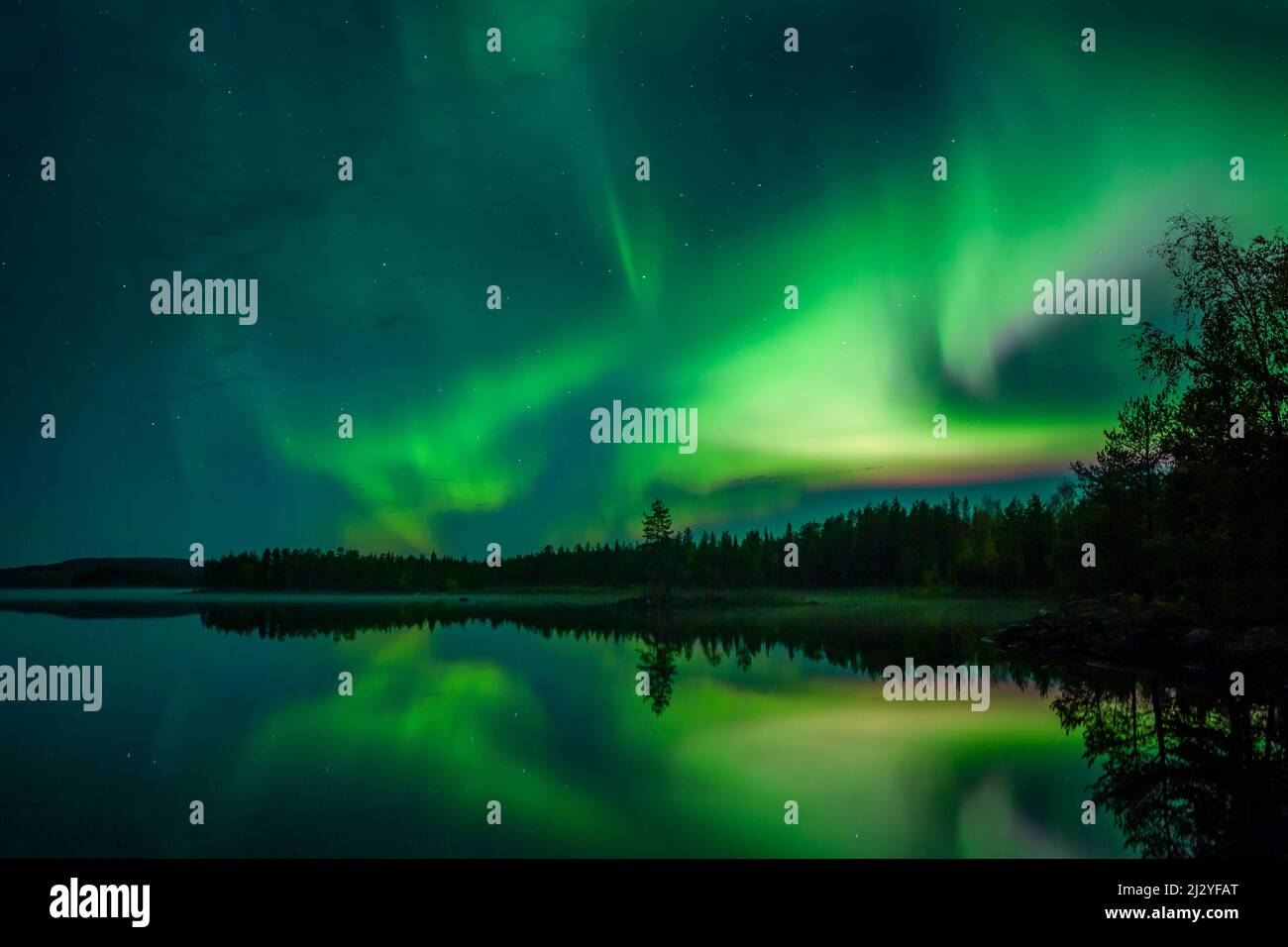 Northern lights in the night sky on the lakeshore with trees and reflection in the water in Lapland, Sweden Stock Photo
