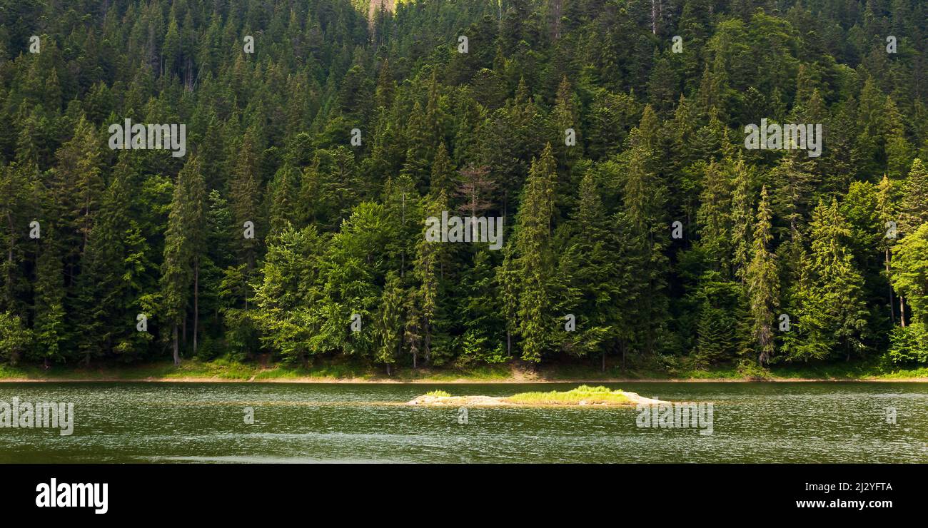 synevyr lake that falls in to tereblya river. tranquil landscape with forest reflection in the water. beautiful travel nature background. green outdoo Stock Photo