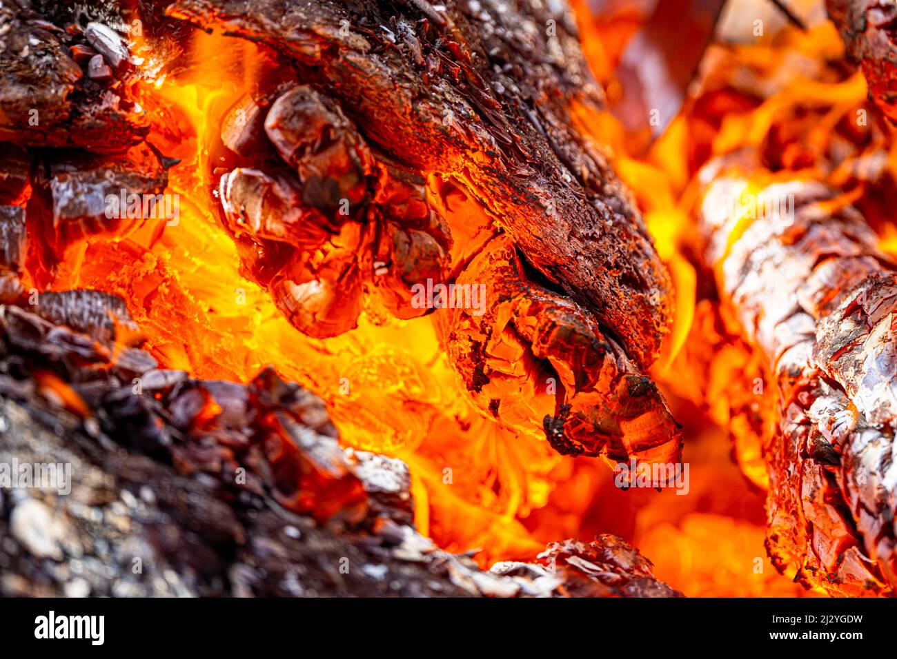 The hottest background. A fire blaze, heat and burning wood closeup