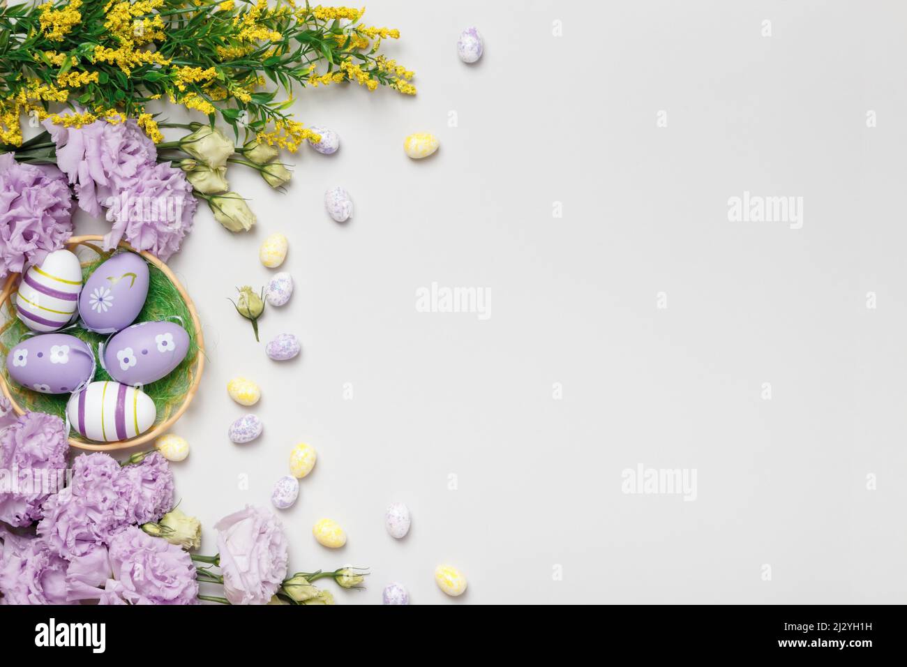 Easter greeting card. Purple flowers in blooming yellow twigs eggs in a basket on a gray background Stock Photo