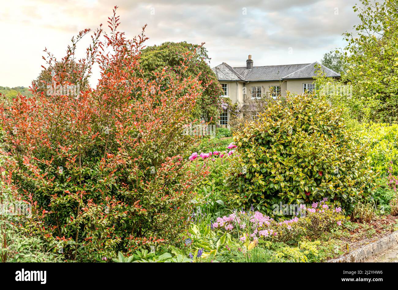 Front Lawns at The Garden House, Yelverton, Devon, England Stock Photo