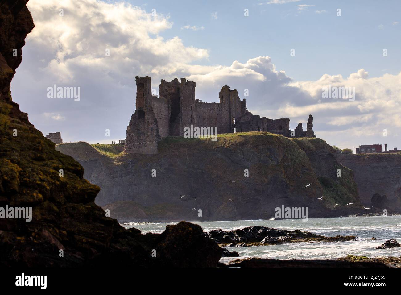 Tantallon Castle ruin, East Coast, East Lothian, Scotland, UK Stock Photo
