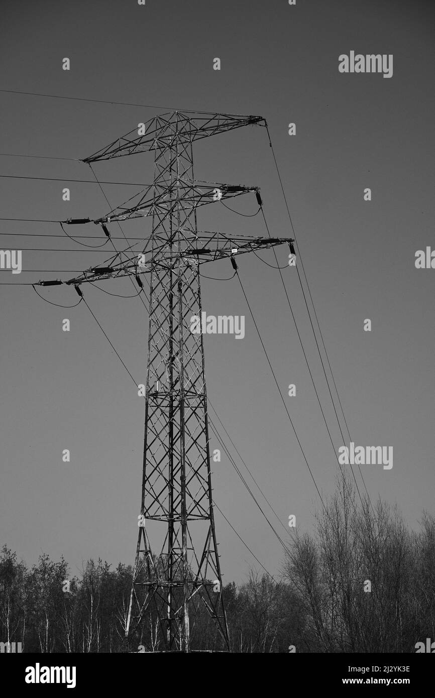 A grayscale of the Electric power transmission Stock Photo Alamy