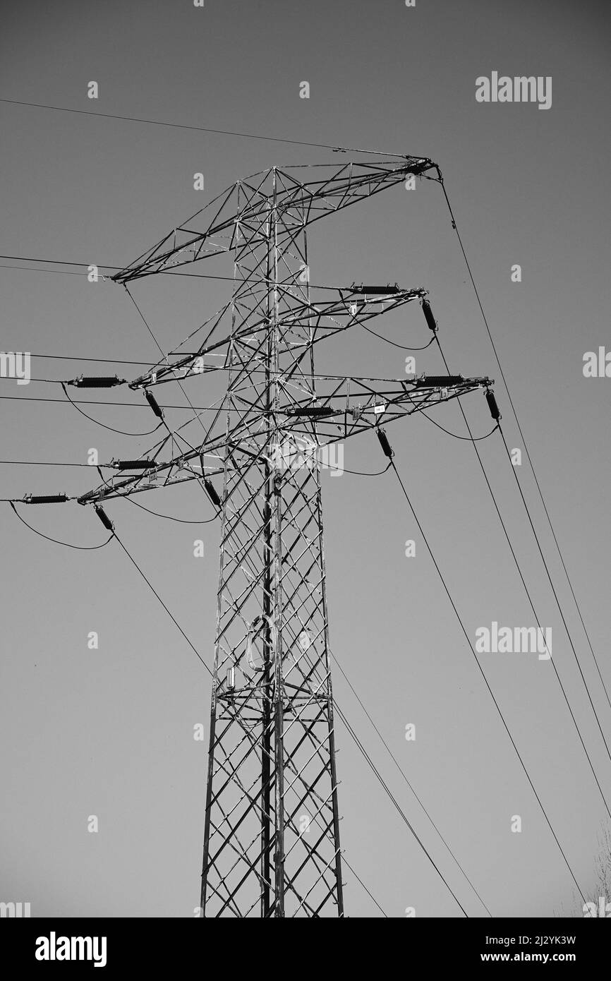 A grayscale of the Electric power transmission Stock Photo Alamy