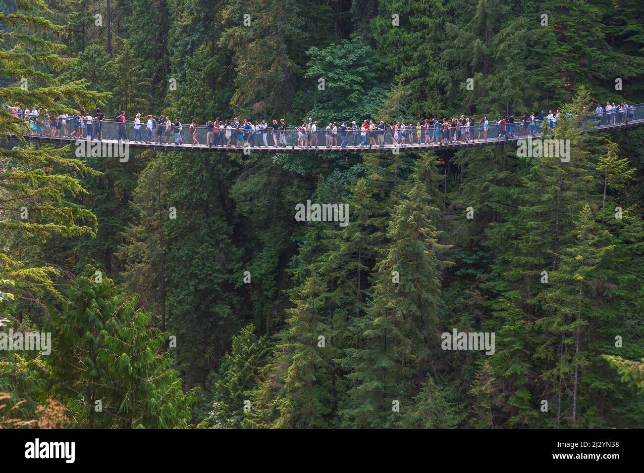 Vancouver, North Vancouver, Capilano Suspension Bridge Stock Photo Alamy
