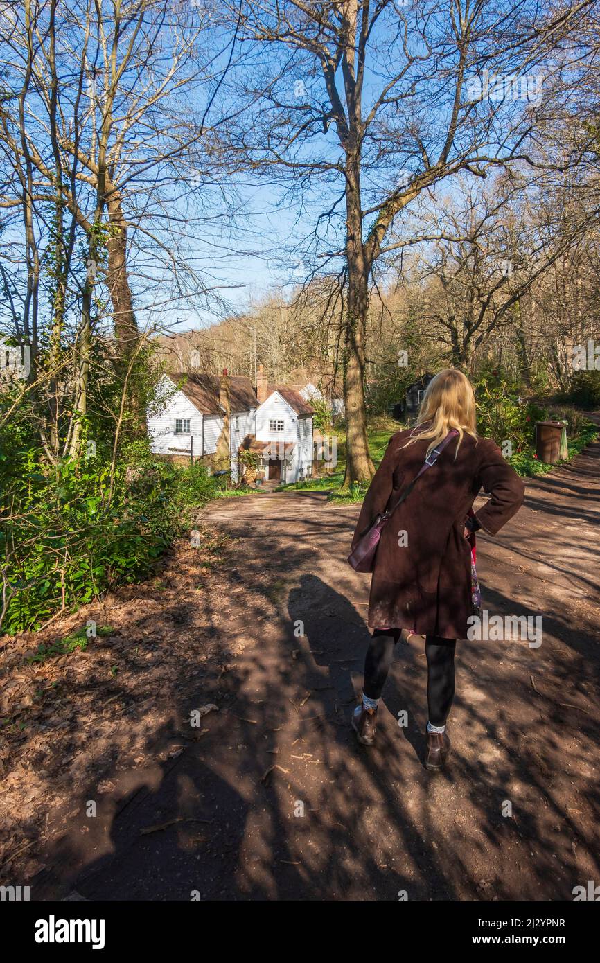 The Hamlet of Friezley near Cranbrook in Kent, has attractive cottages related to historic agriculture, Kent, UK Stock Photo
