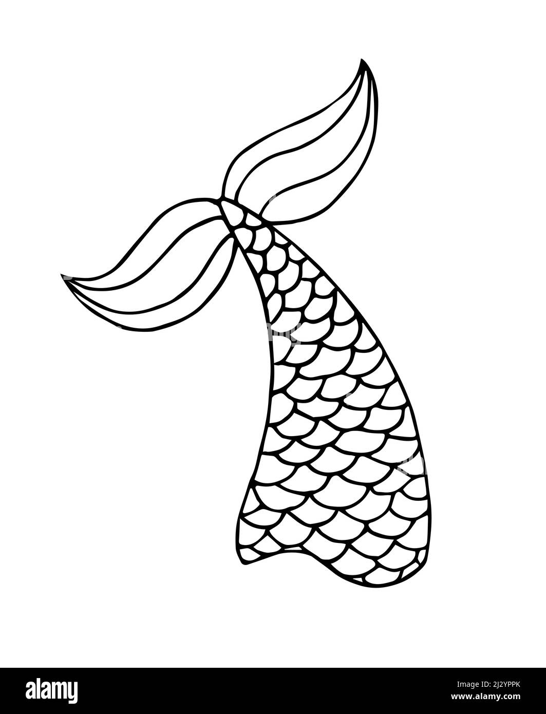 Vector hand drawn doodle sketch mermaid tail isolated on white background Stock Vector