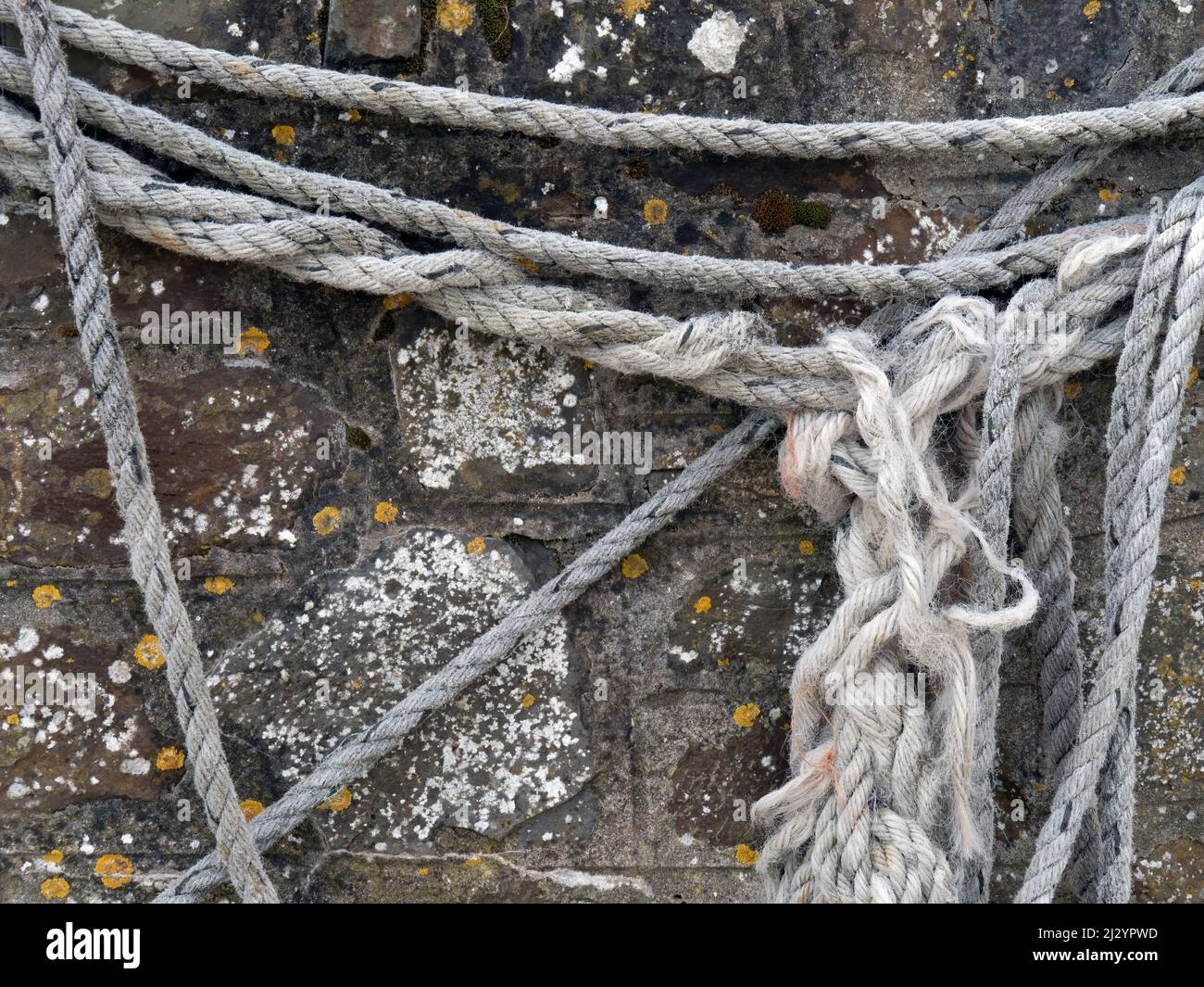 Old rope, ropes hanging on stone wall. Stock Photo