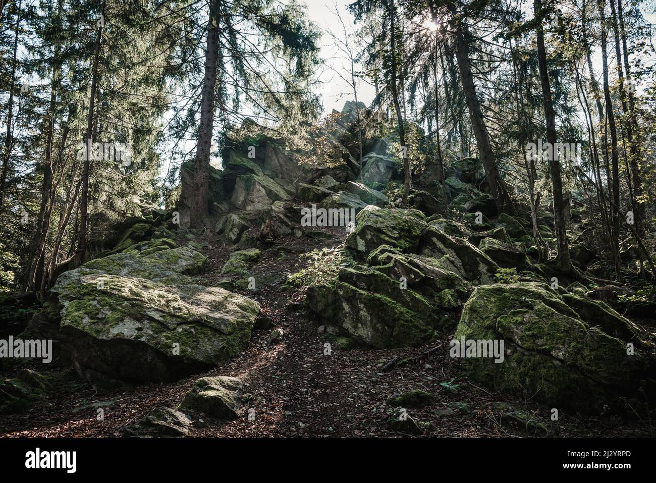 Steinwand rock formation near Poppenhausen, Rhoen, Hesse, Germany, Europe Stock Photo