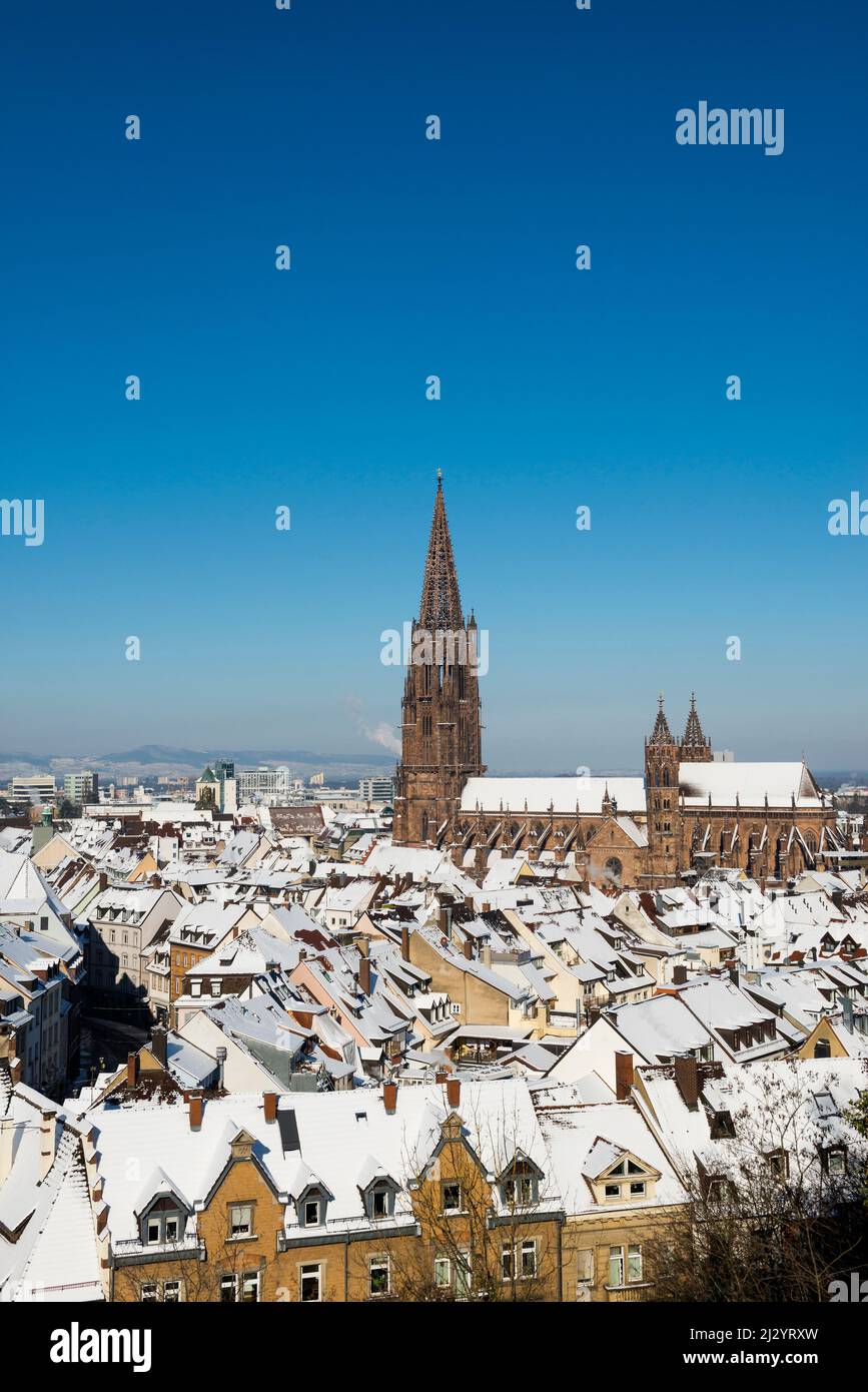 Winter mood with snow, Freiburg Minster, Freiburg im Breisgau, Black Forest, Baden-Württemberg, Germany Stock Photo