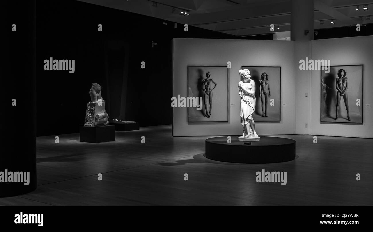 MART Museum of Modern and Contemporary Art, Rovereto, Trento Italy the most important