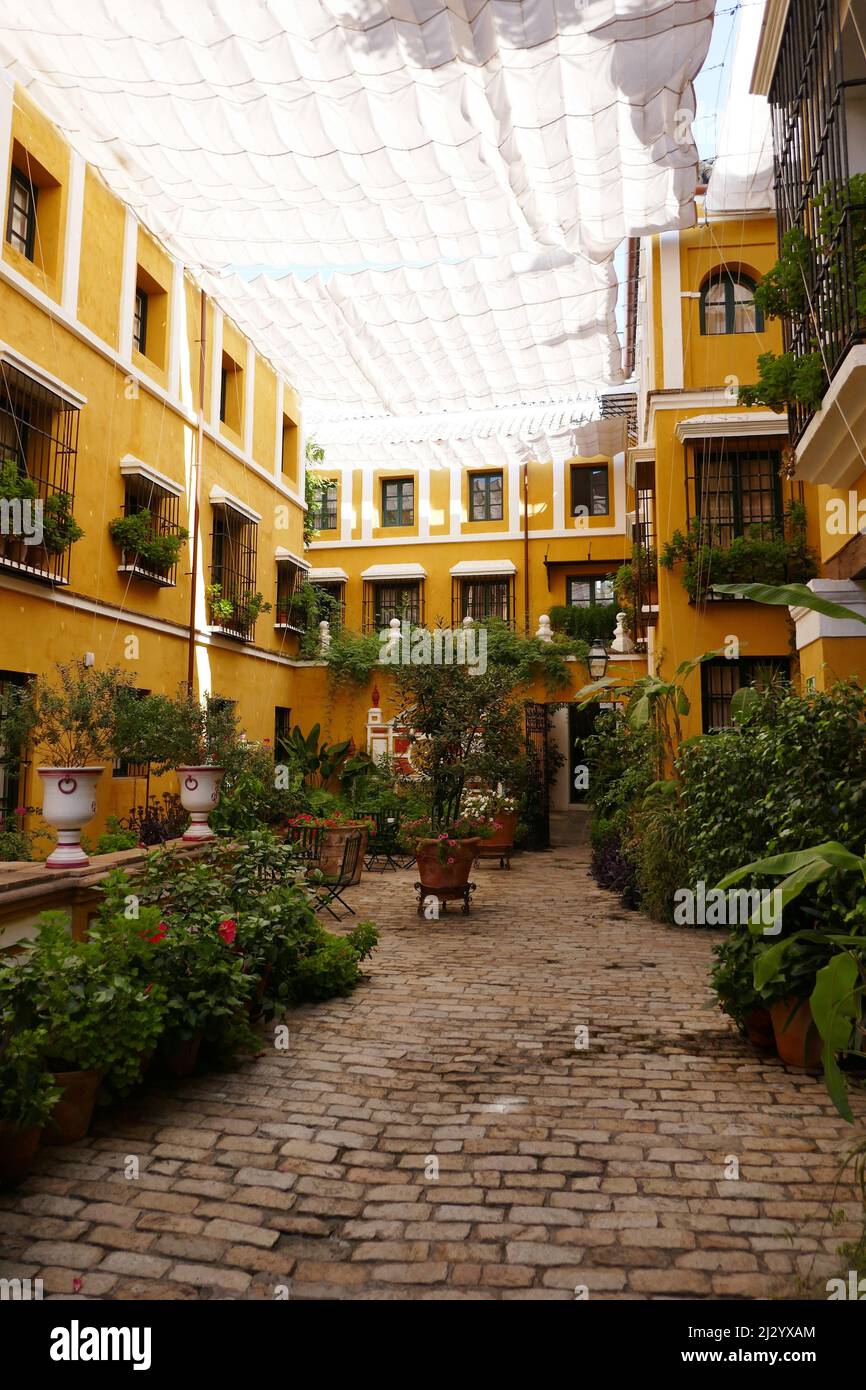 Courtyard with plants and awning in Seville, Andalusia, Spain Stock Photo