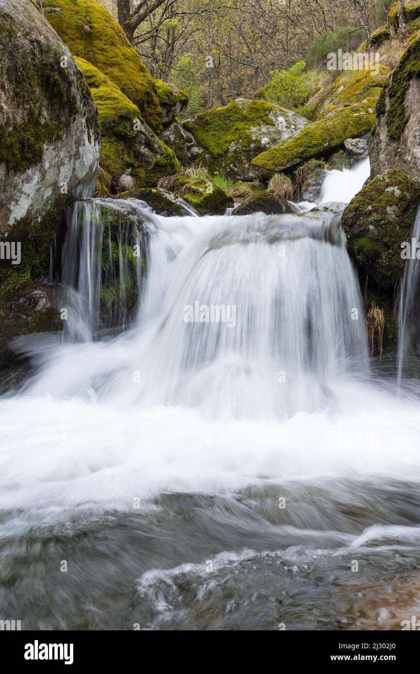 A vertical close-up of a waterfall in the forest Stock Photo - Alamy