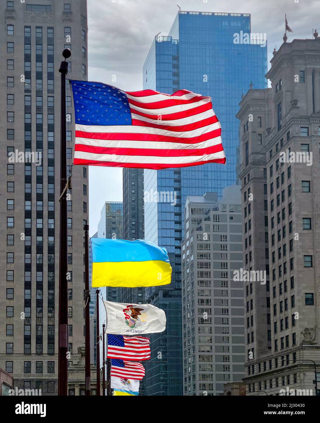 American flags, Illinois state flag, and Ukraine flags in Chicago city