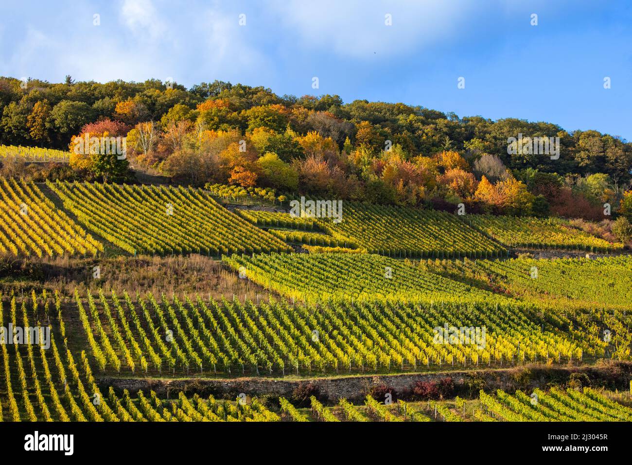 Rhine Valley, Germany Stock Photo Alamy