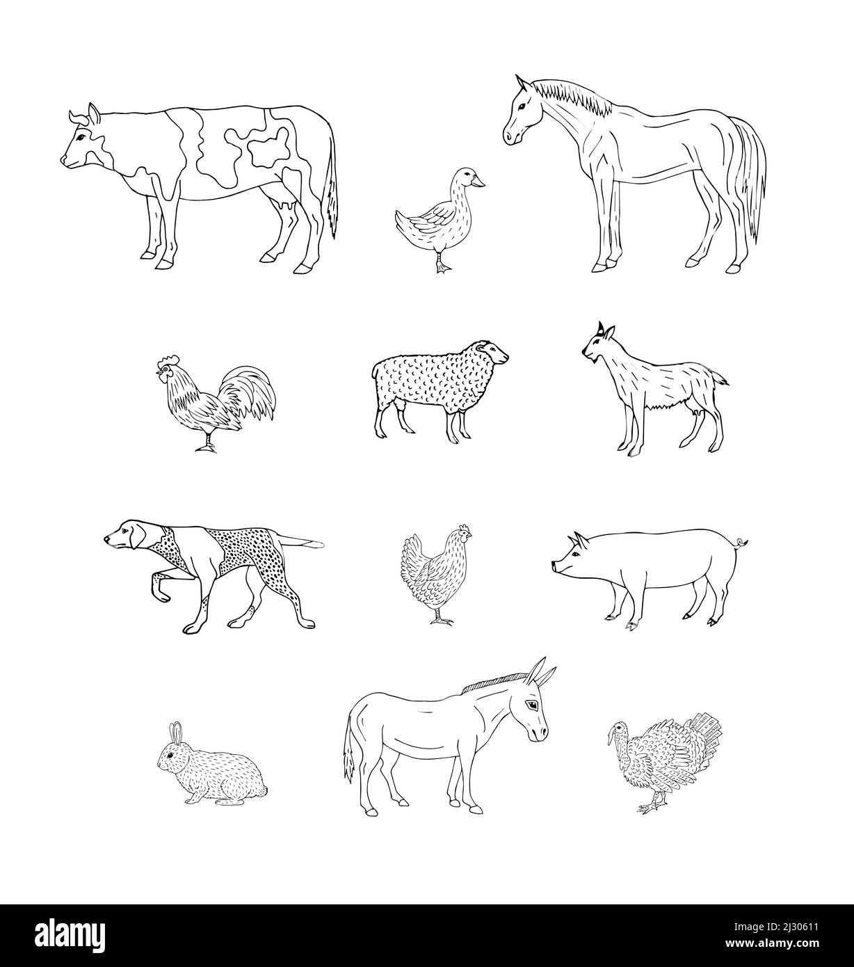 Vector set bundle of hand drawn sketch domestic animals isolated on