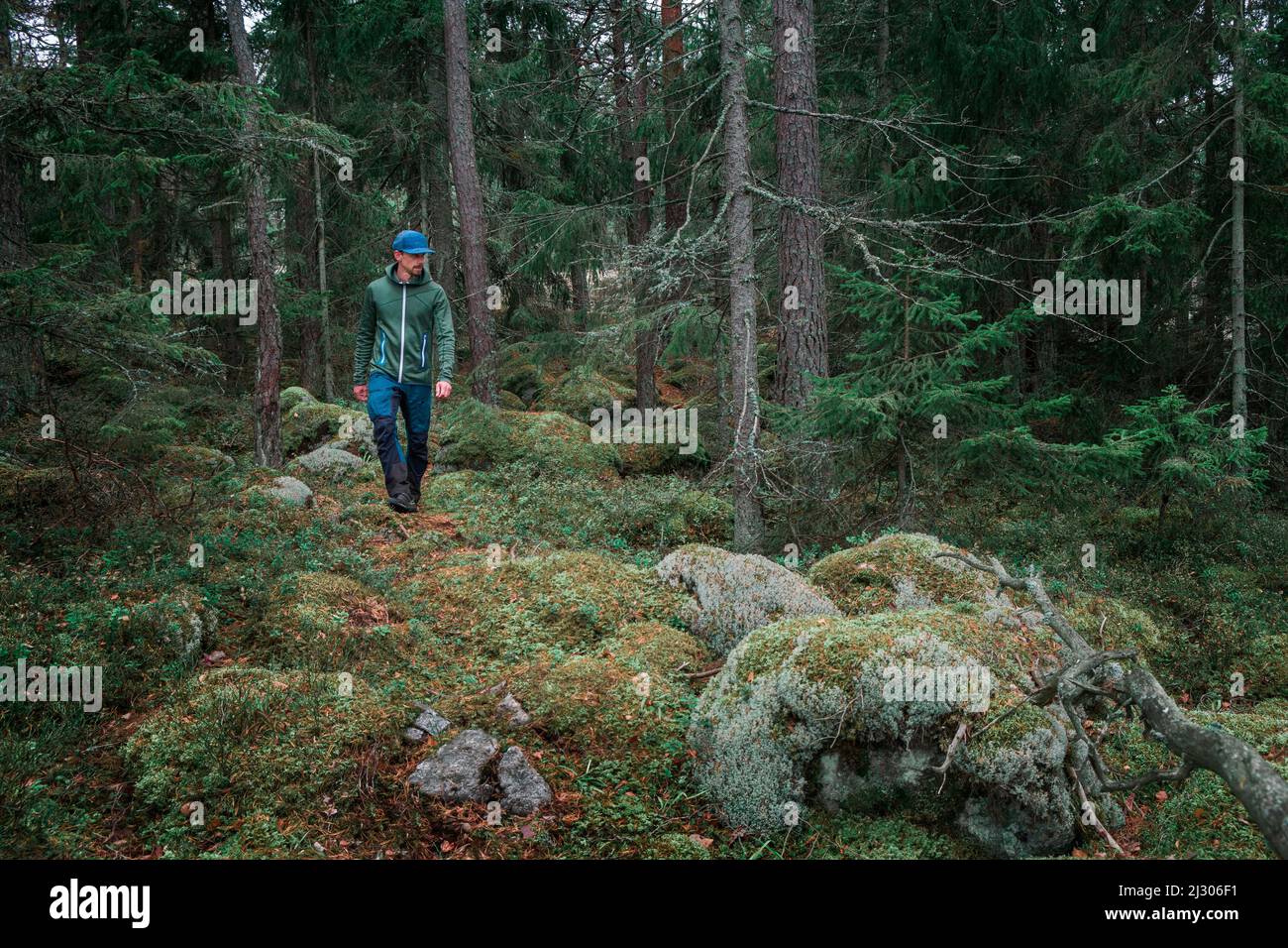 Man hiking through forest with moss covered ground in Tyresta National Park in Sweden Stock Photo