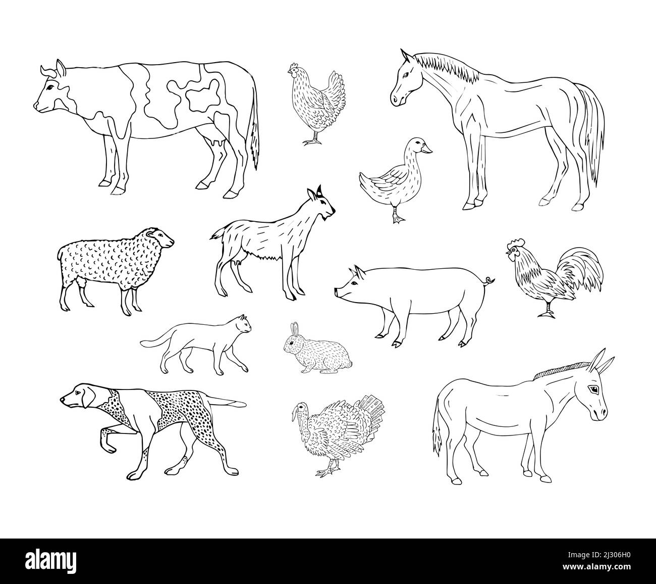 Vector set bundle of hand drawn sketch domestic animals isolated on