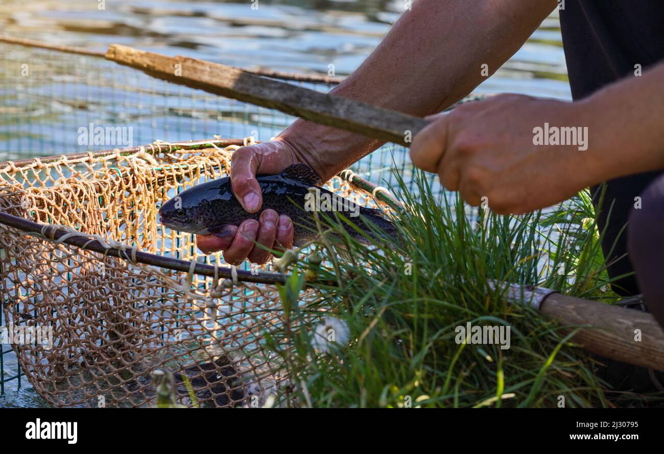 Scoop net hires stock photography and images Alamy