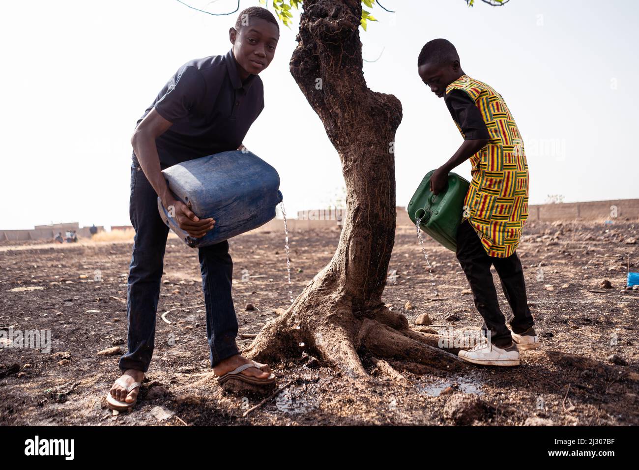 Lonely dried up tree in scorched arid African farmland, with two boys trying to save it by watering its roots; global problem of desertification and c Stock Photo
