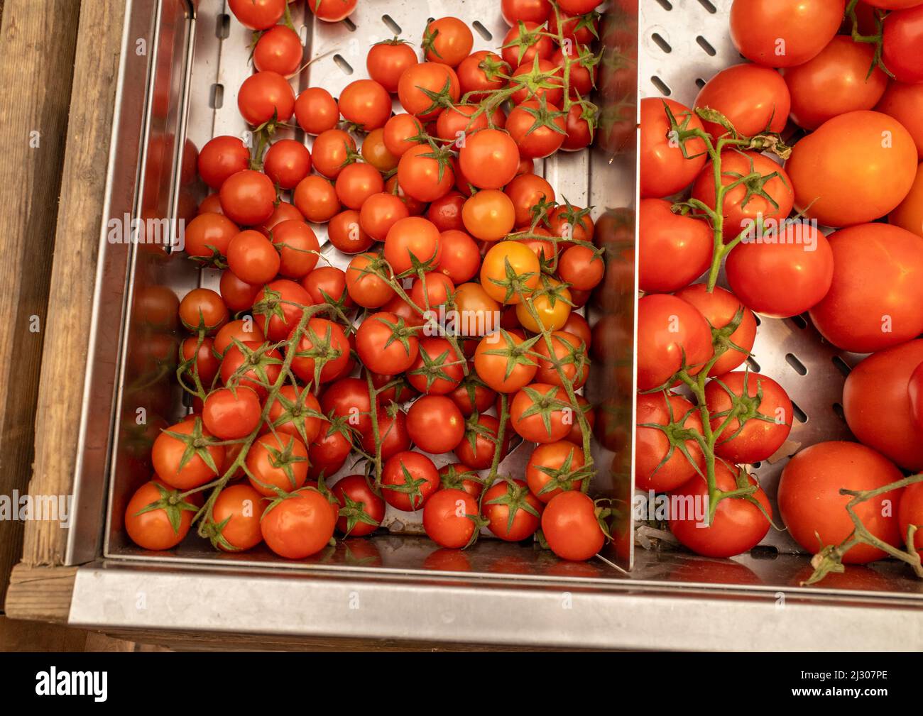 Large and small red vine tomatos displayed side by side in boxes at a grocery store. Stock Photo
