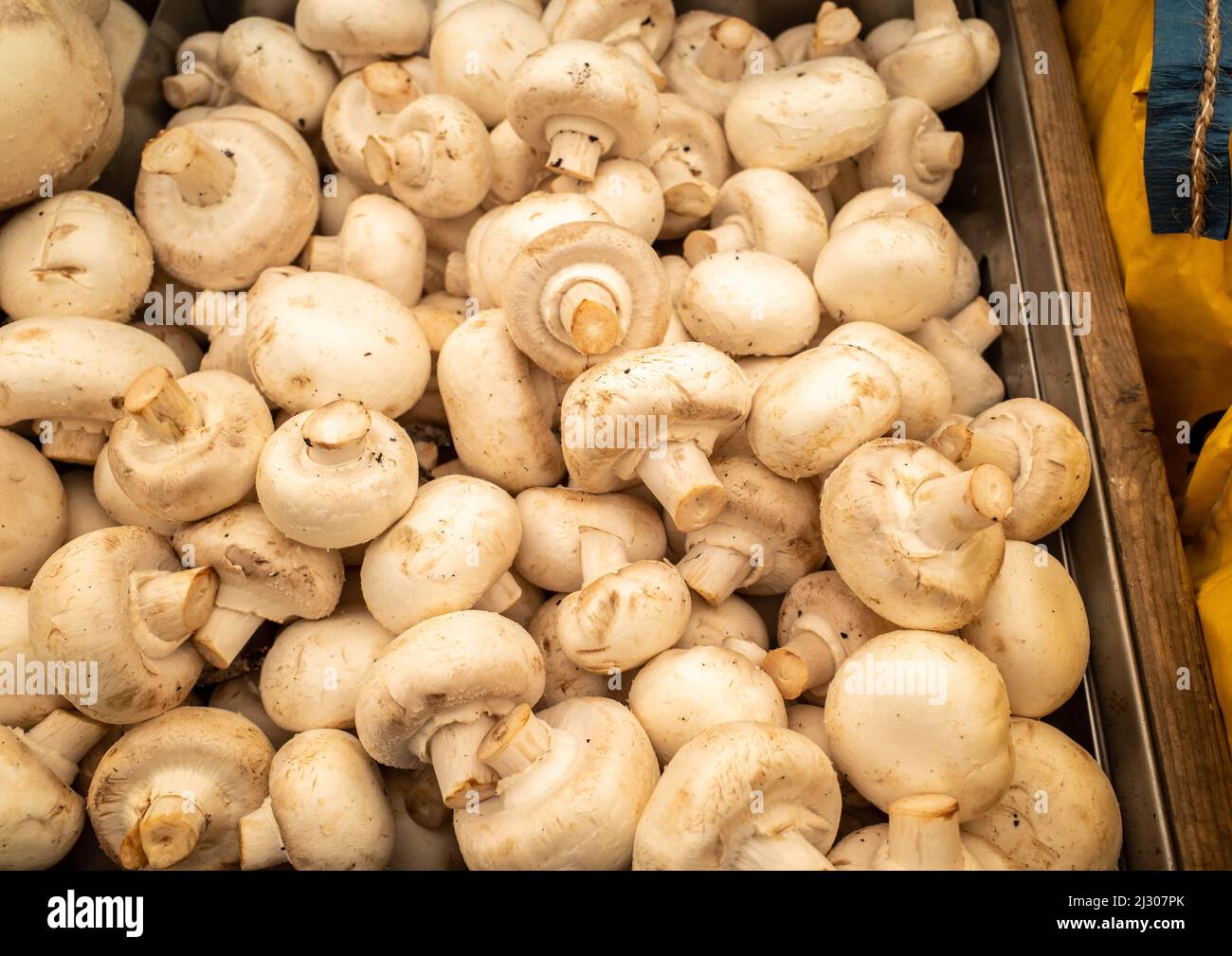 A display of white mushrooms in a box at a grocery store. Stock Photo