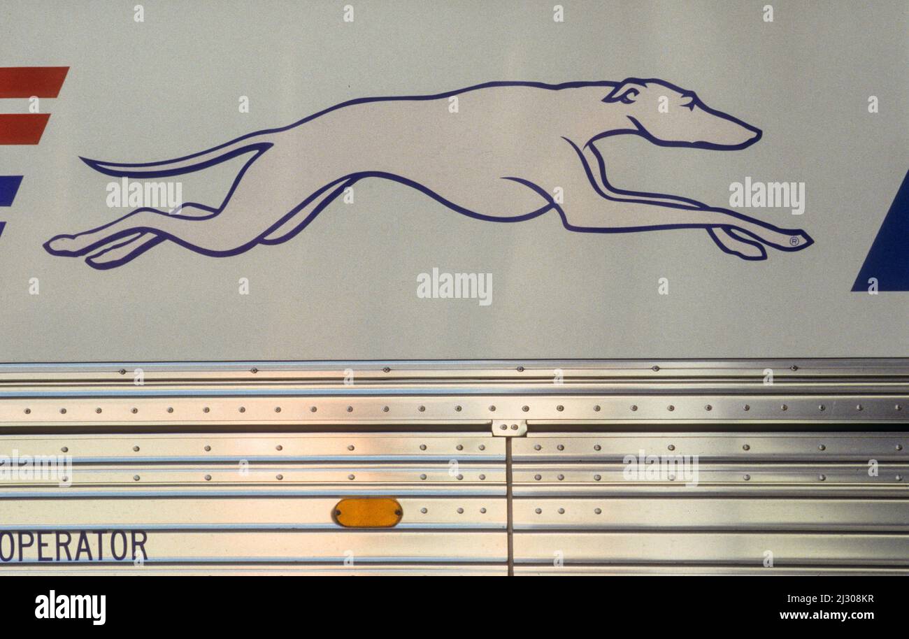 Ein amerikanischer Klassiker: Das Greyhound-Logo auf der Seite eines Fahrzeugs am Busbahnhof von Miami. - An American Classic: Greyhound  logo on the side of a vehicle waiting at Miami bus terminal. Stock Photo