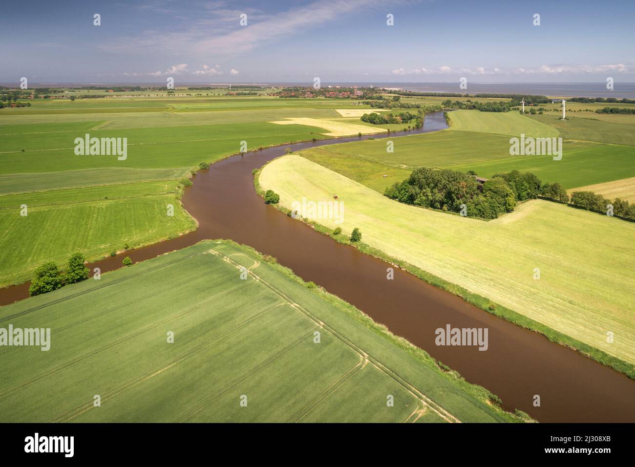 Fields at Crildumer Tief and Hohenstief, Wangerland, Friesland, Lower Saxony, Germany, Europe Stock Photo