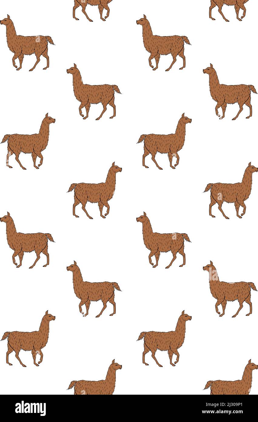 Vector seamless pattern of hand drawn sketch brown alpaca isolated on ...