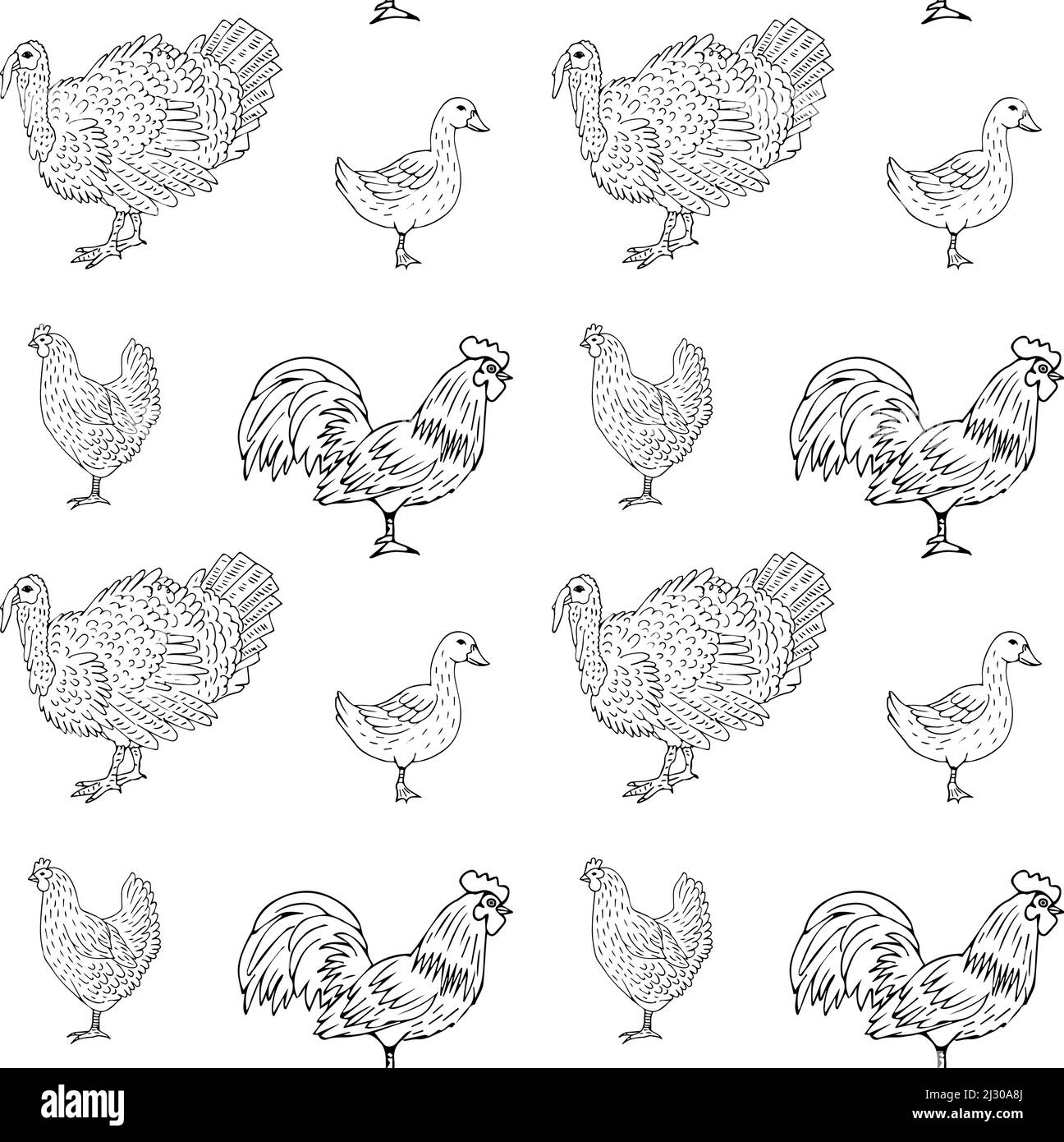 Vector seamless pattern of hand drawn doodle sketch domestic birds ...