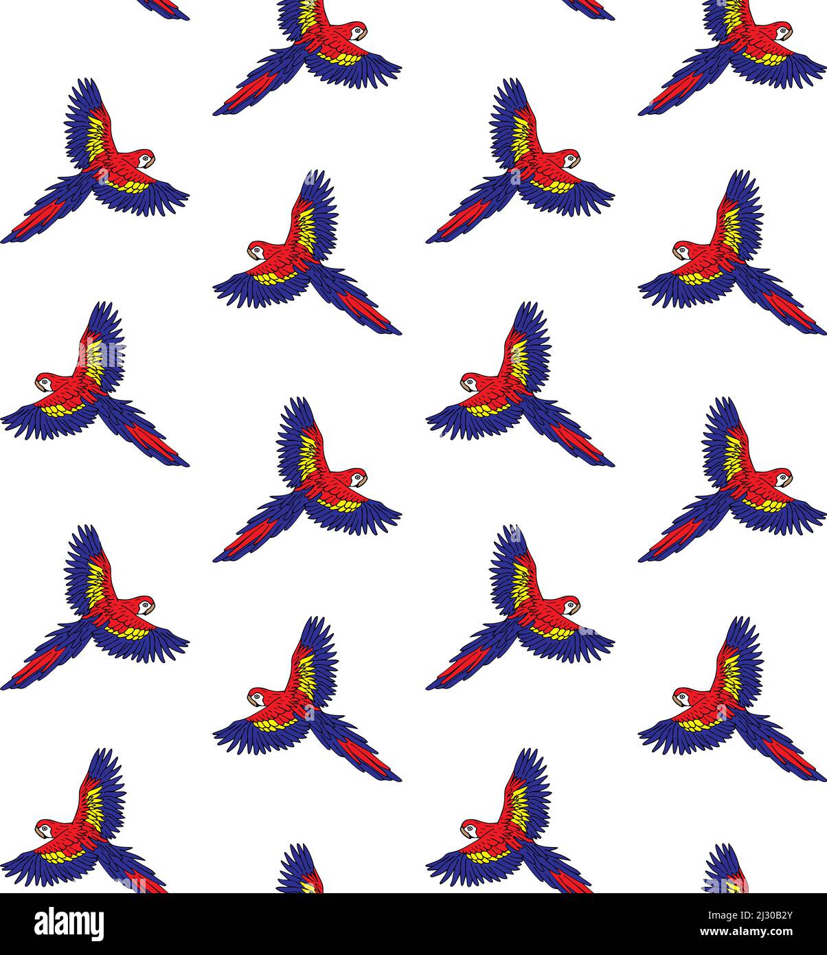 Vector seamless pattern of hand drawn doodle sketch macaw parrot ...