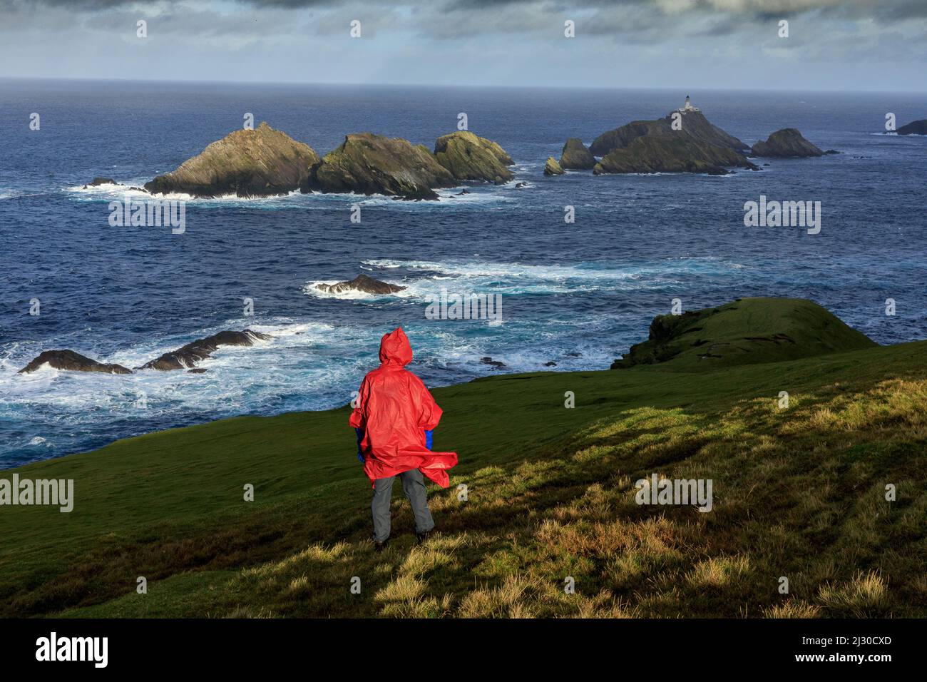 Hiker in red rain cape, Hermaness Nature Reserve, Muckle Flugga, Shetland, Scotland UK Stock Photo