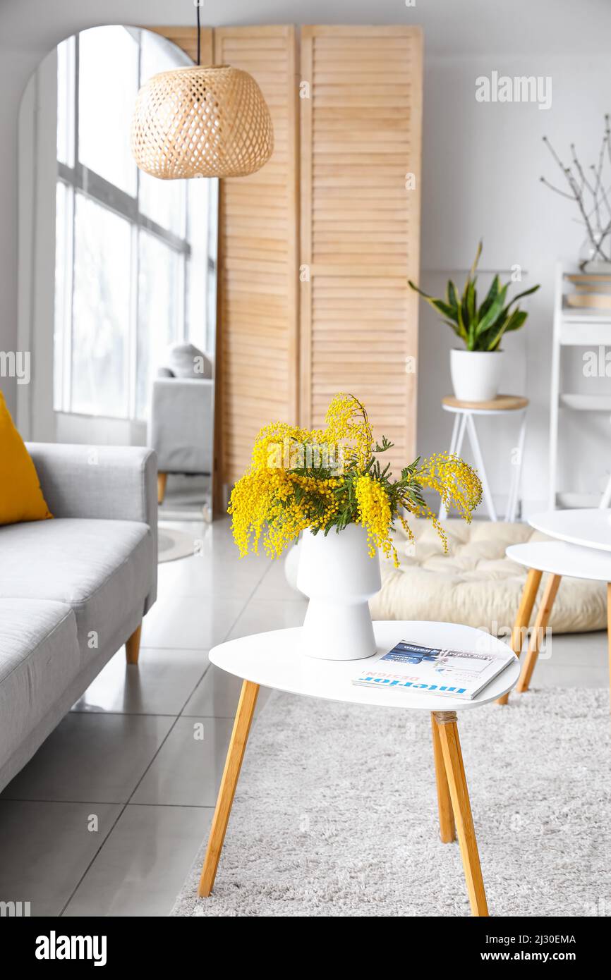 Vase with mimosa flowers on table and sofa in interior of living room ...