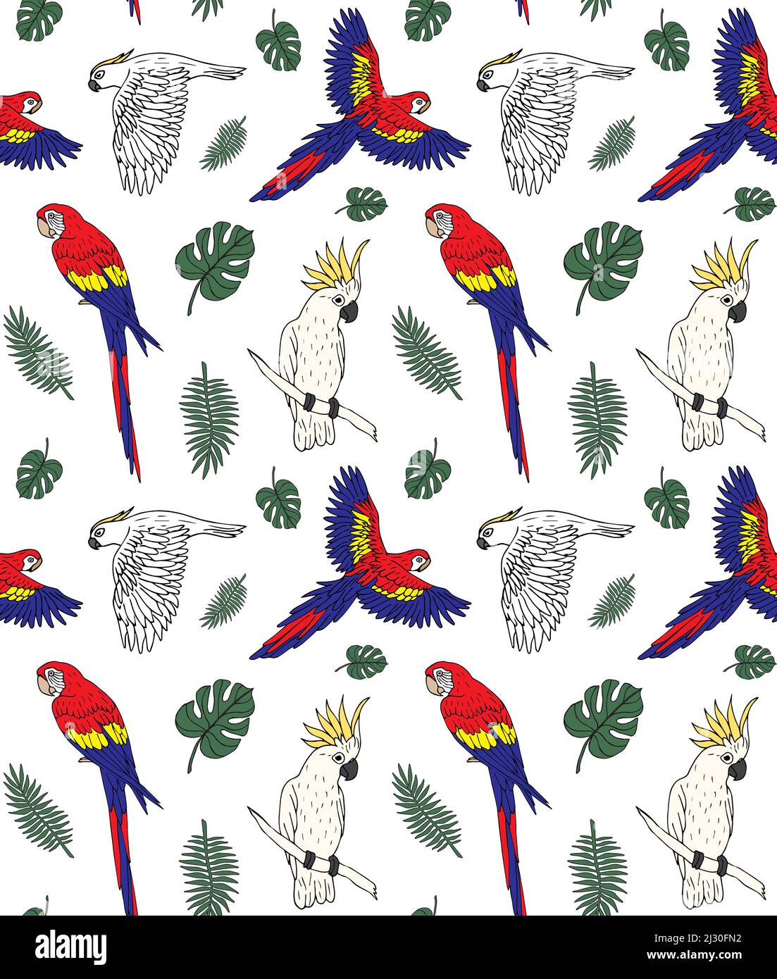 Vector seamless pattern of different hand drawn doodle sketch parrot ...