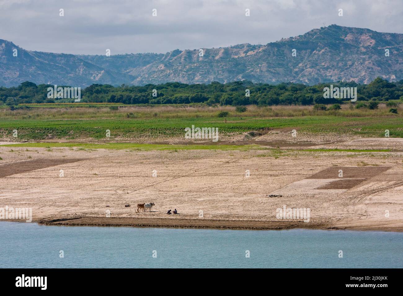 Myanmar, Burma, near Bagan.  Plowing the River Banks of the Ayeyarwady (Irrawaddy) River as Water Recedes after the Rainy Season. Stock Photo