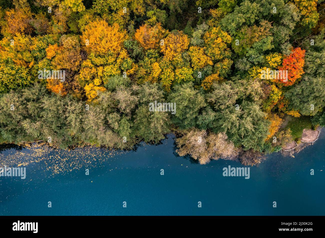 The mixed forest on the banks of a lake shows its colorful side as an aerial view in autumn, South Hesse, Germany Stock Photo