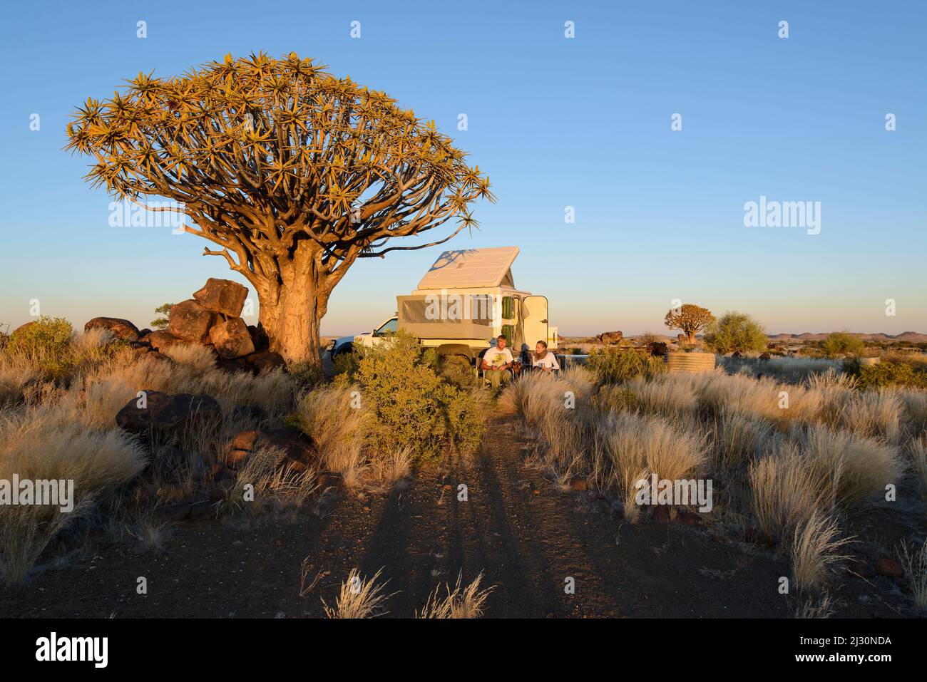 Camping at the quiver tree on the Gariganus farm, Namibia Stock Photo