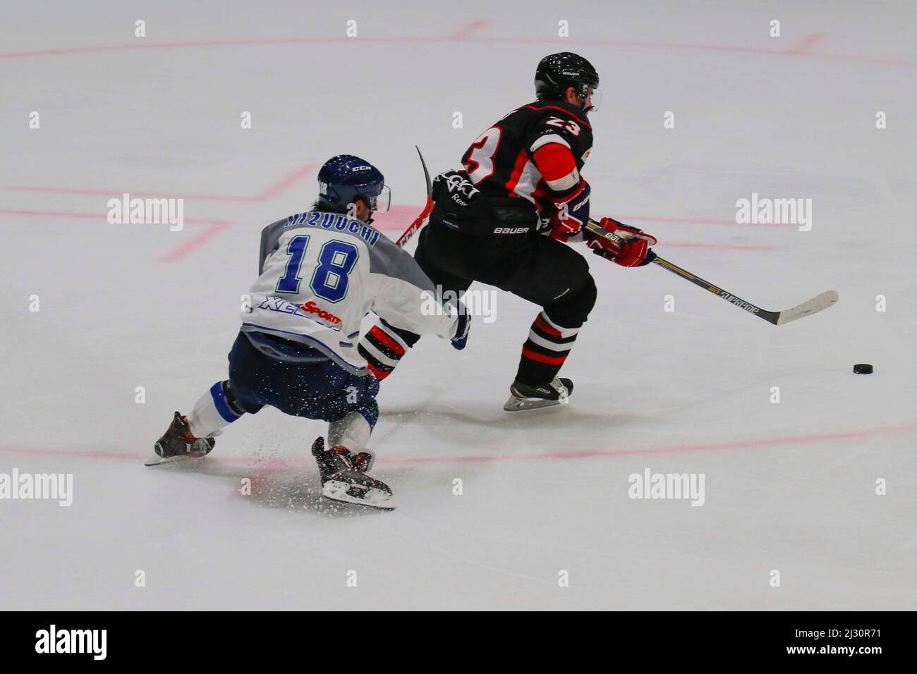 Goal judge hockey hi-res stock photography and images - Alamy