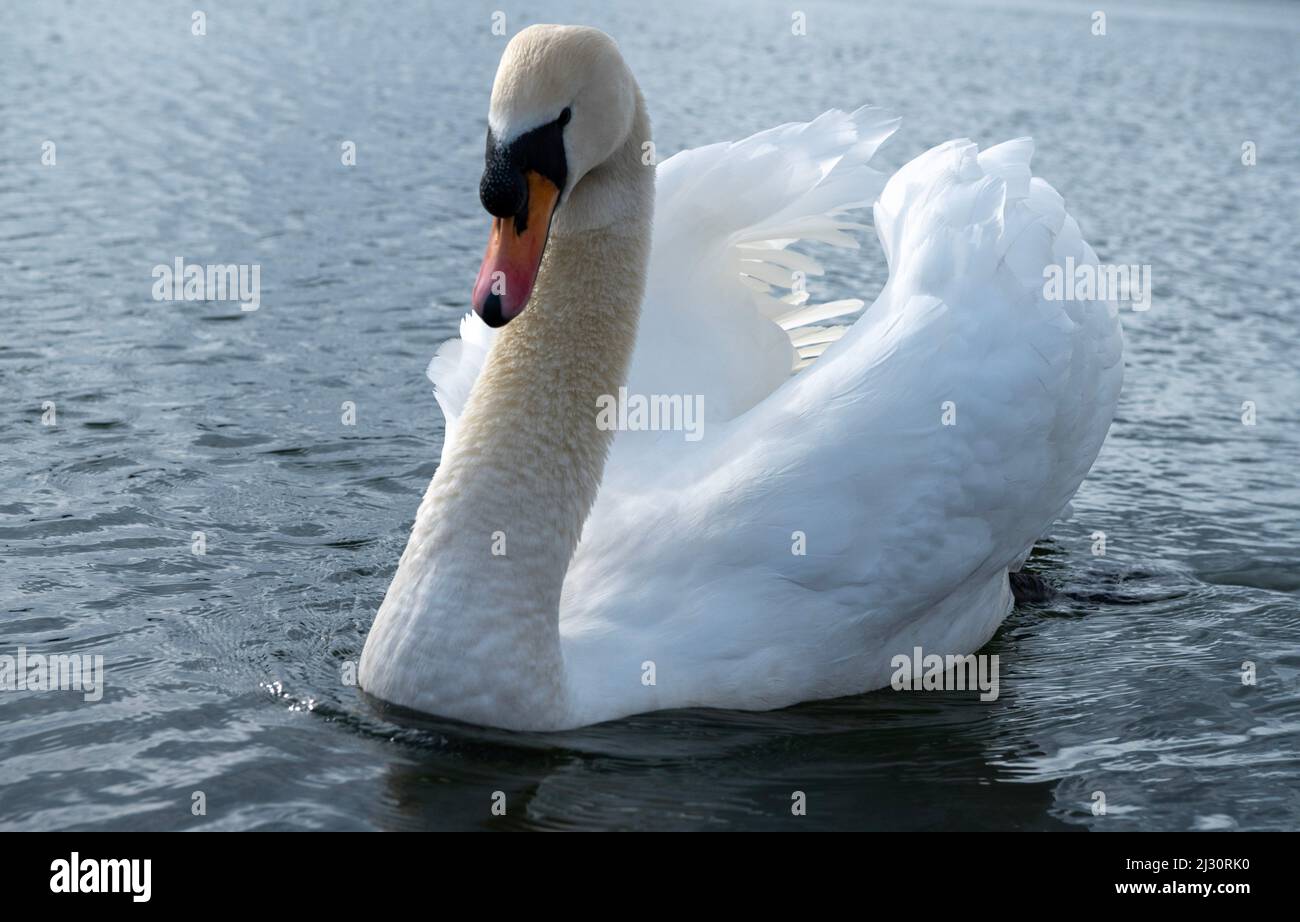 You looking at me Stock Photo