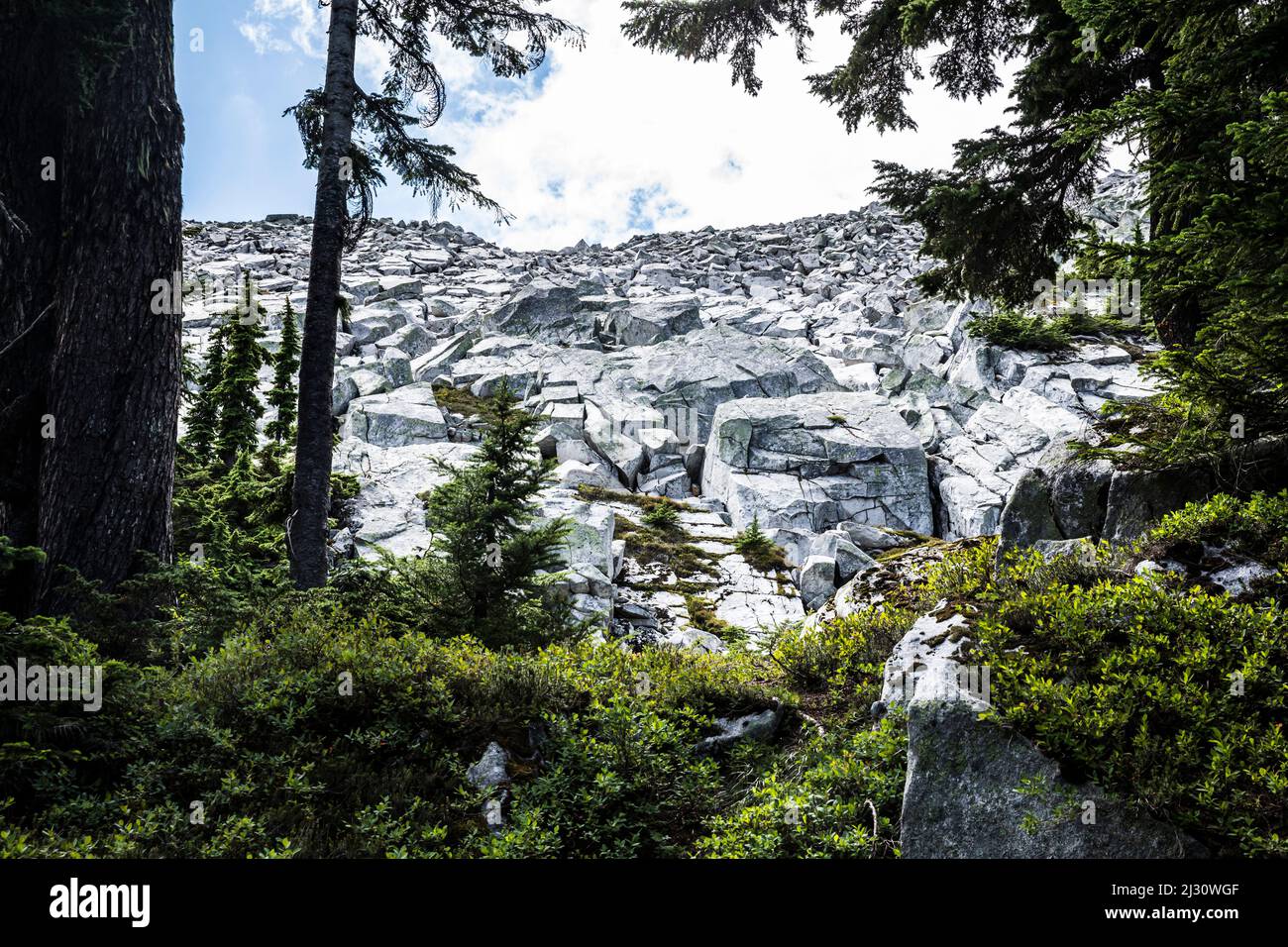 Granite boulders and talus field on Granite Mountain, Washington