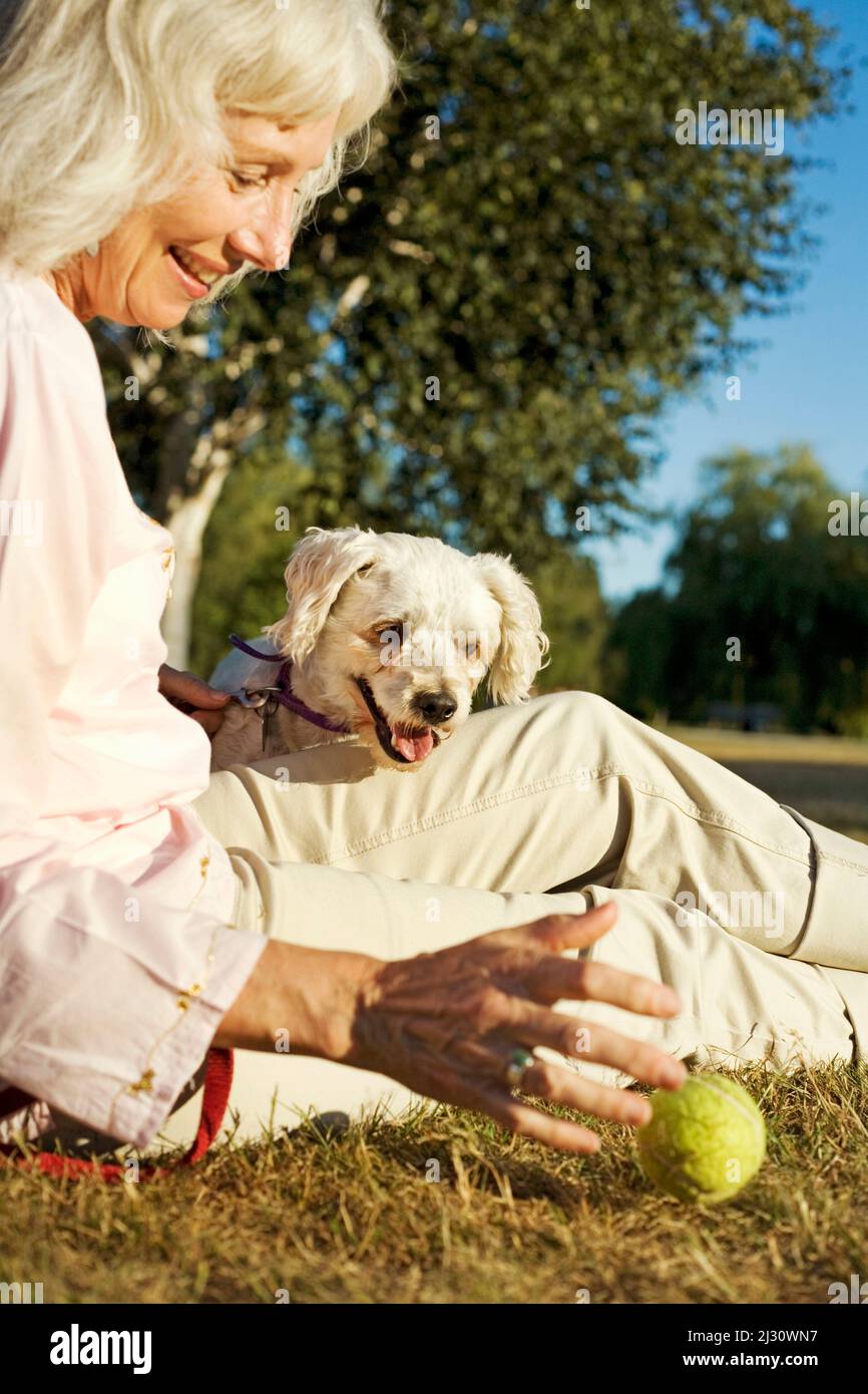senior woman with her elderly Cockapoo dog Stock Photo