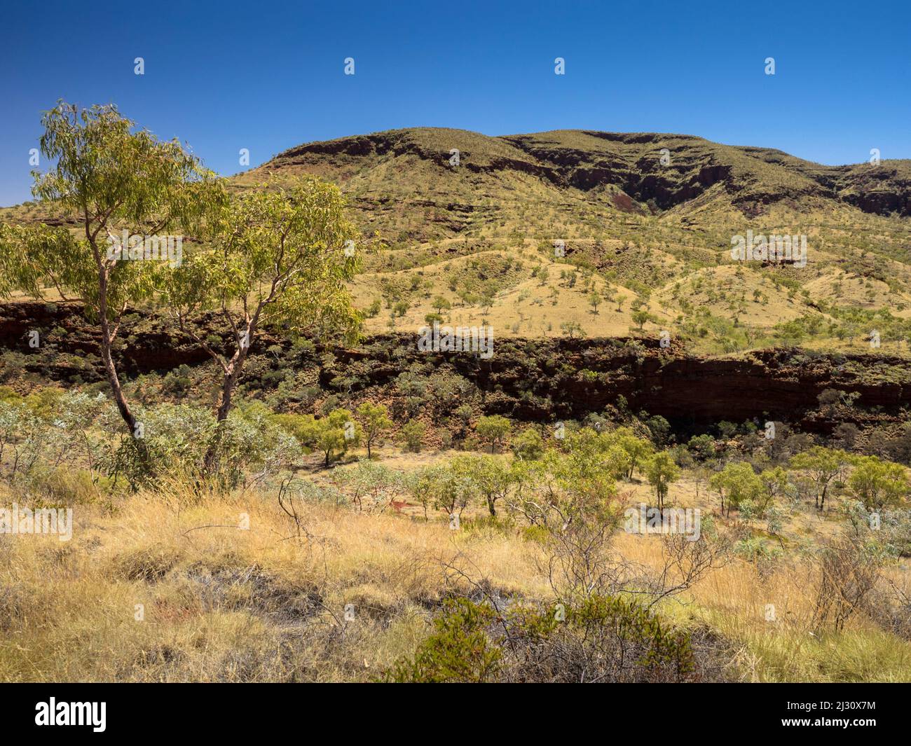 View of the Hammerlsey Range from Albert Tognilini Rest Area, Juna Downs, Great Northern Highway Stock Photo