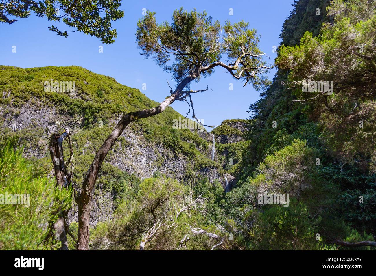 Levada do Risco, Cascata do Risco, waterfall Stock Photo