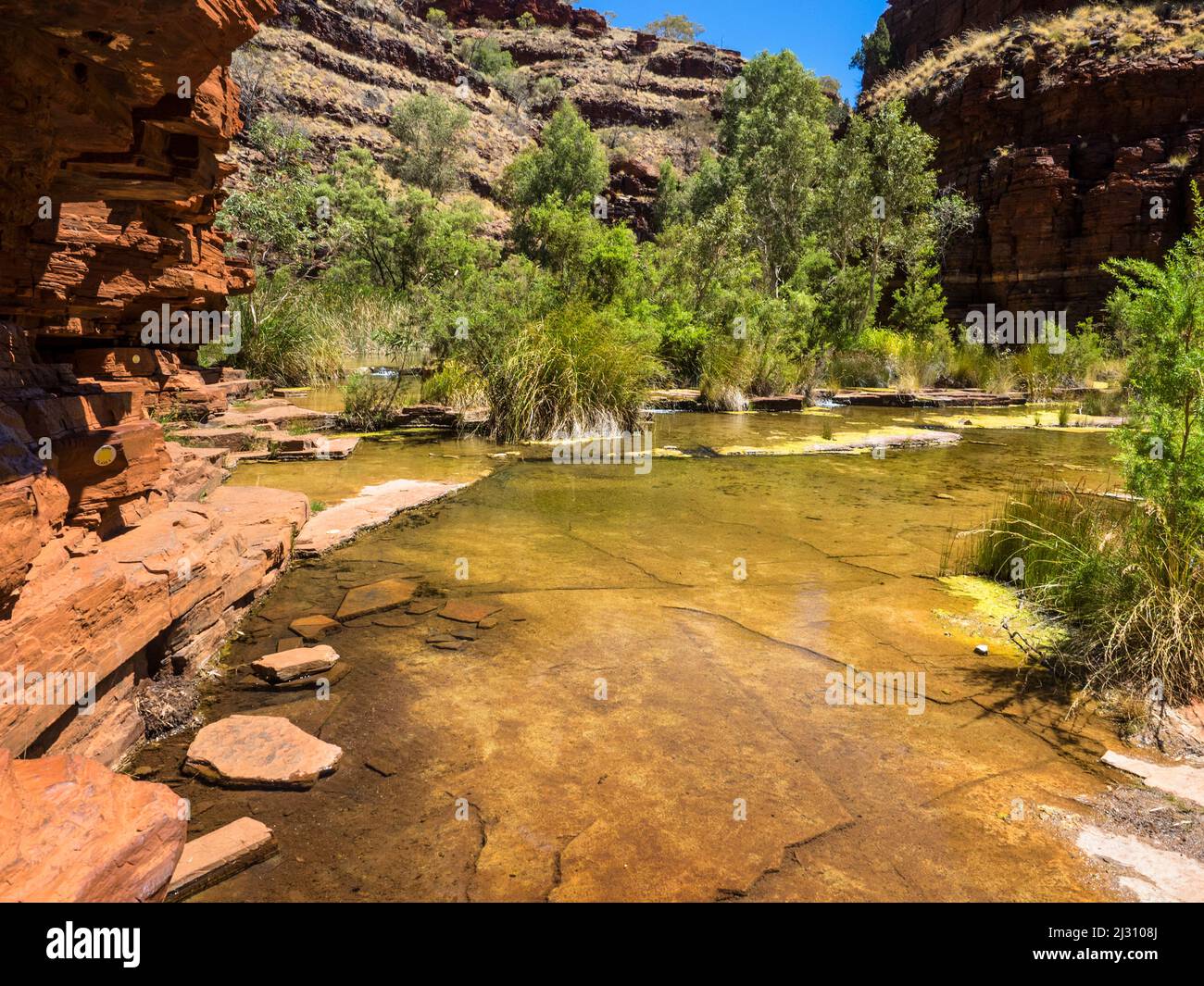 Shallow pool in Dales Gorge, Karijini National Park Stock Photo - Alamy
