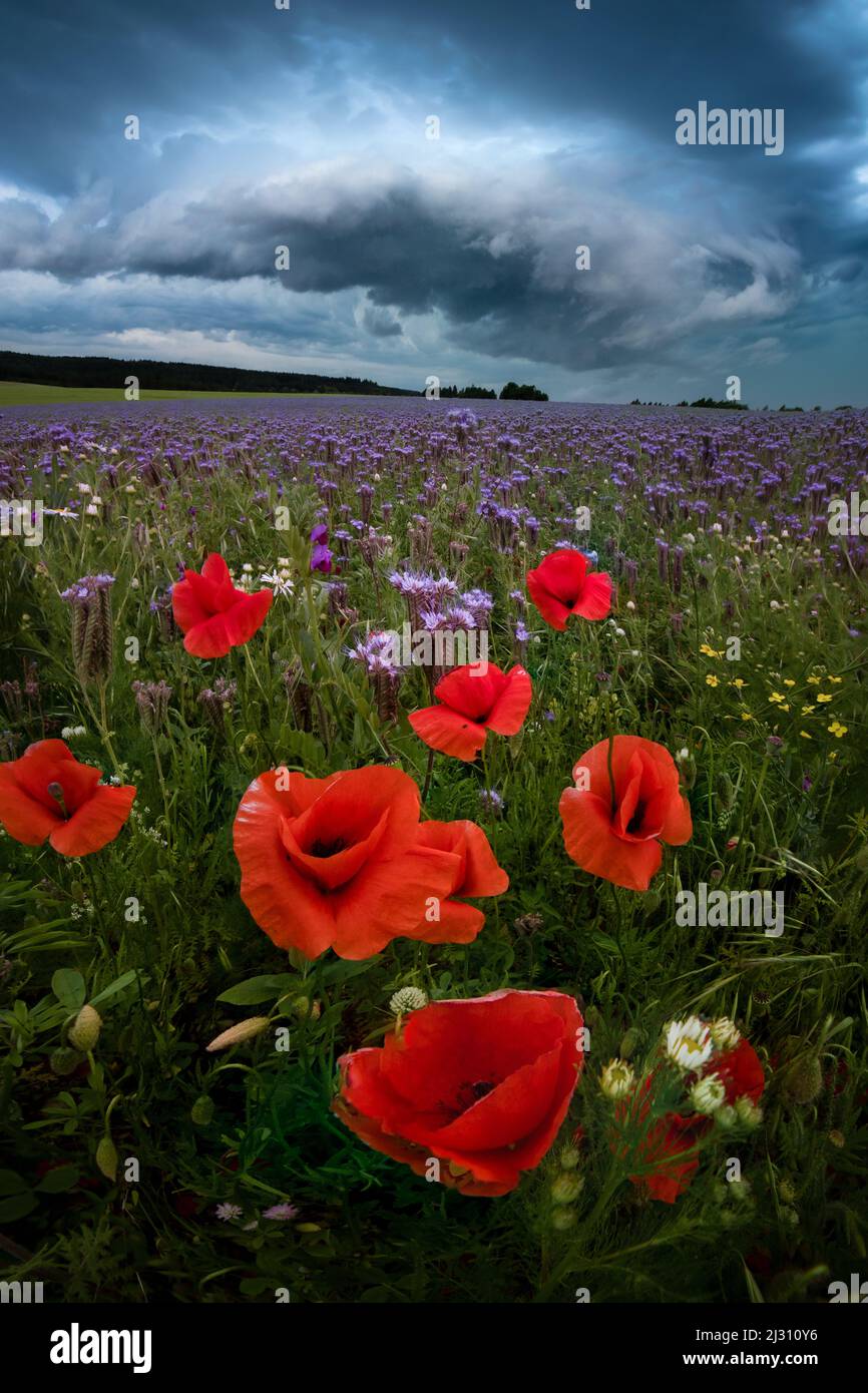 Storm gathering over the fields near Rohr, Thuringia, Germany Stock Photo