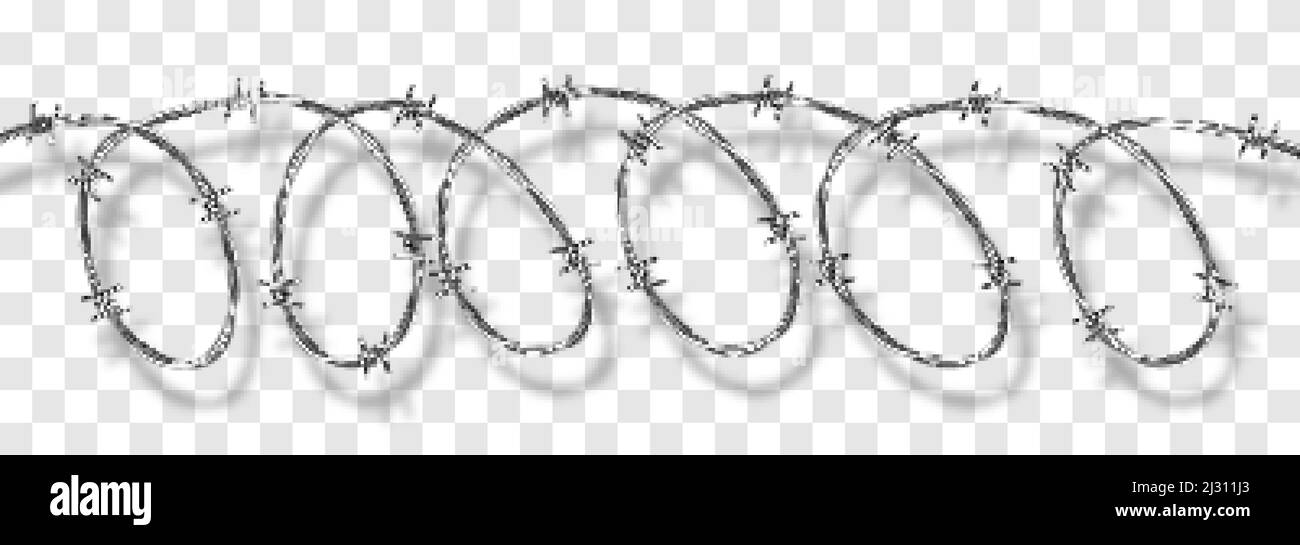 Metal steel barbed spiral wire with thorns or spikes realistic vector illustration isolated on transparent background with shadow. Fencing or barrier Stock Vector