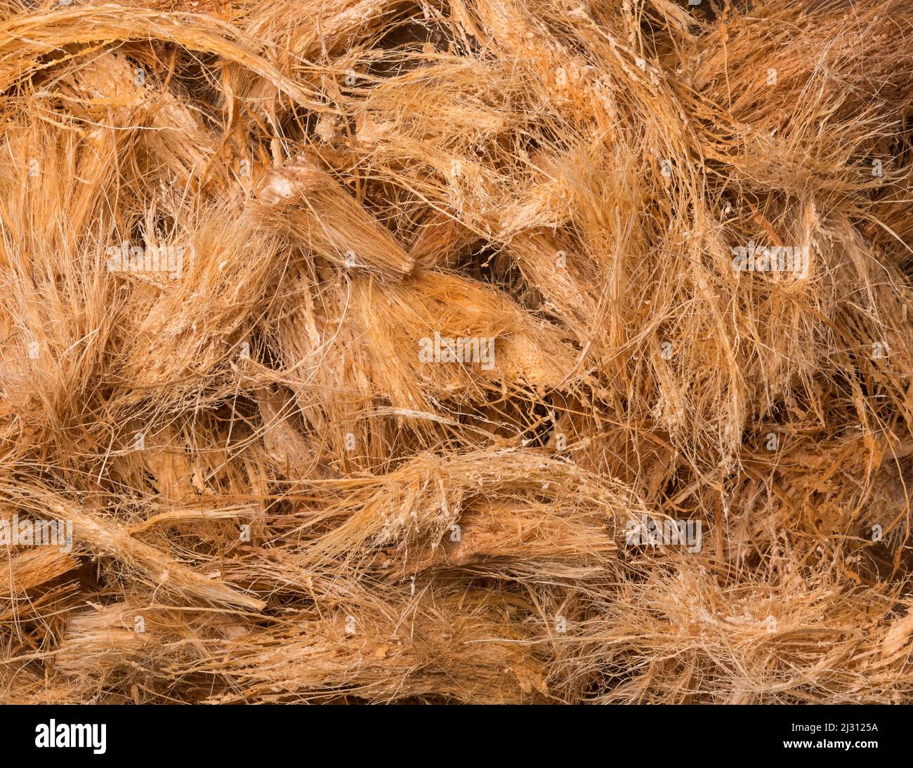 coconut husk fiber or coir, commercially important natural fiber extracted from outer husk of coconut fruit, taken from above, background texture Stock Photo